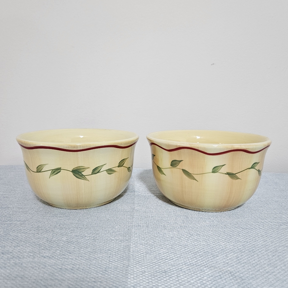 Pfaltzgraff Napoli Hand Painted Earthenware Discd Soup Cereal Bowls (2) Beige 6"